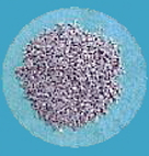 農耕用ハウスビニールシート泥汚れ用